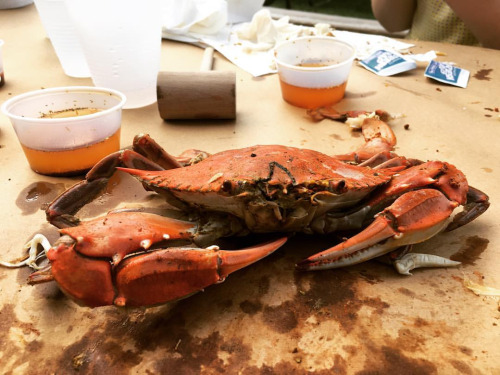Washington Maryland Family Crab & Barbeque Feast